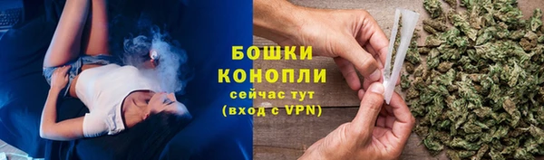 молекула духа Нягань