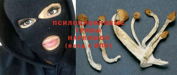 марки lsd Няндома
