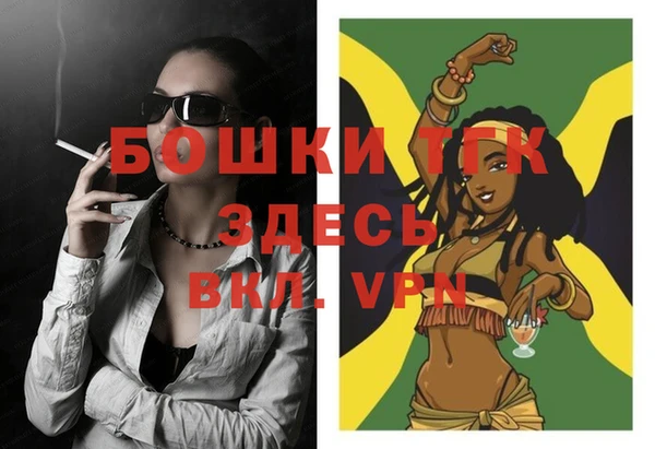 молекула духа Нягань