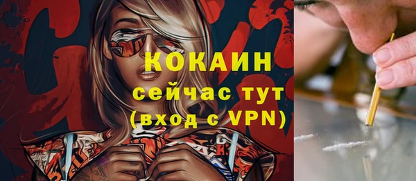 молекула духа Нягань