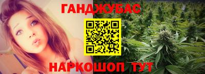крисы Тулун