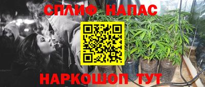 ешки Тула