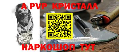 крисы Тулун
