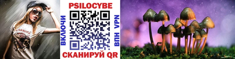 KRAKEN ССЫЛКА  Полысаево  Псилоцибиновые грибы Psilocybine cubensis  купить наркоту 