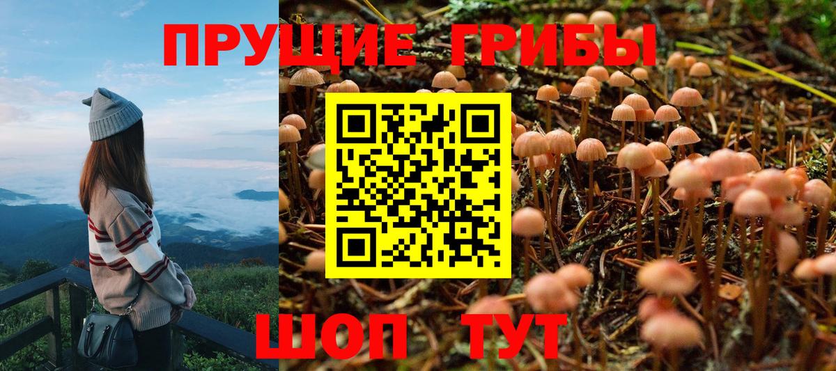 Полысаево  Псилоцибиновые грибы GOLDEN TEACHER  наркошоп  Вход с VPN 